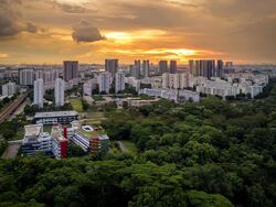 Mount Sinai (D10), Terrace #458028711